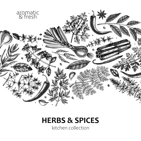 Hand-drawn herbs and spices wave design. Hand-sketched food black outline card. Vintage aromatic plants hand-drawing. Kitchen herbs and spice banner template in sketched style for menu or packaging